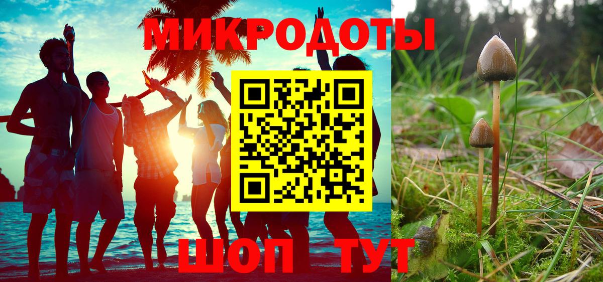 Псилоцибиновые грибы Psilocybe  Вход с VPN  наркотики  Вятские Поляны 