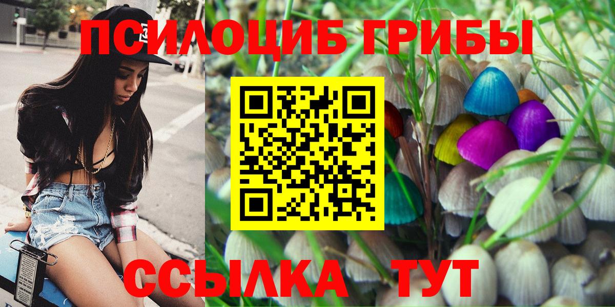 Псилоцибиновые грибы MAGIC MUSHROOMS Вятские Поляны